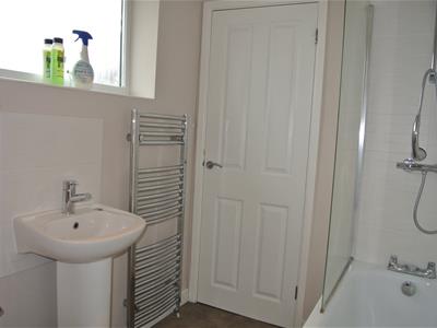 Picture 10